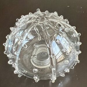 Pottery Barn Glass Sea Anemone Urchin Salt Shaker New